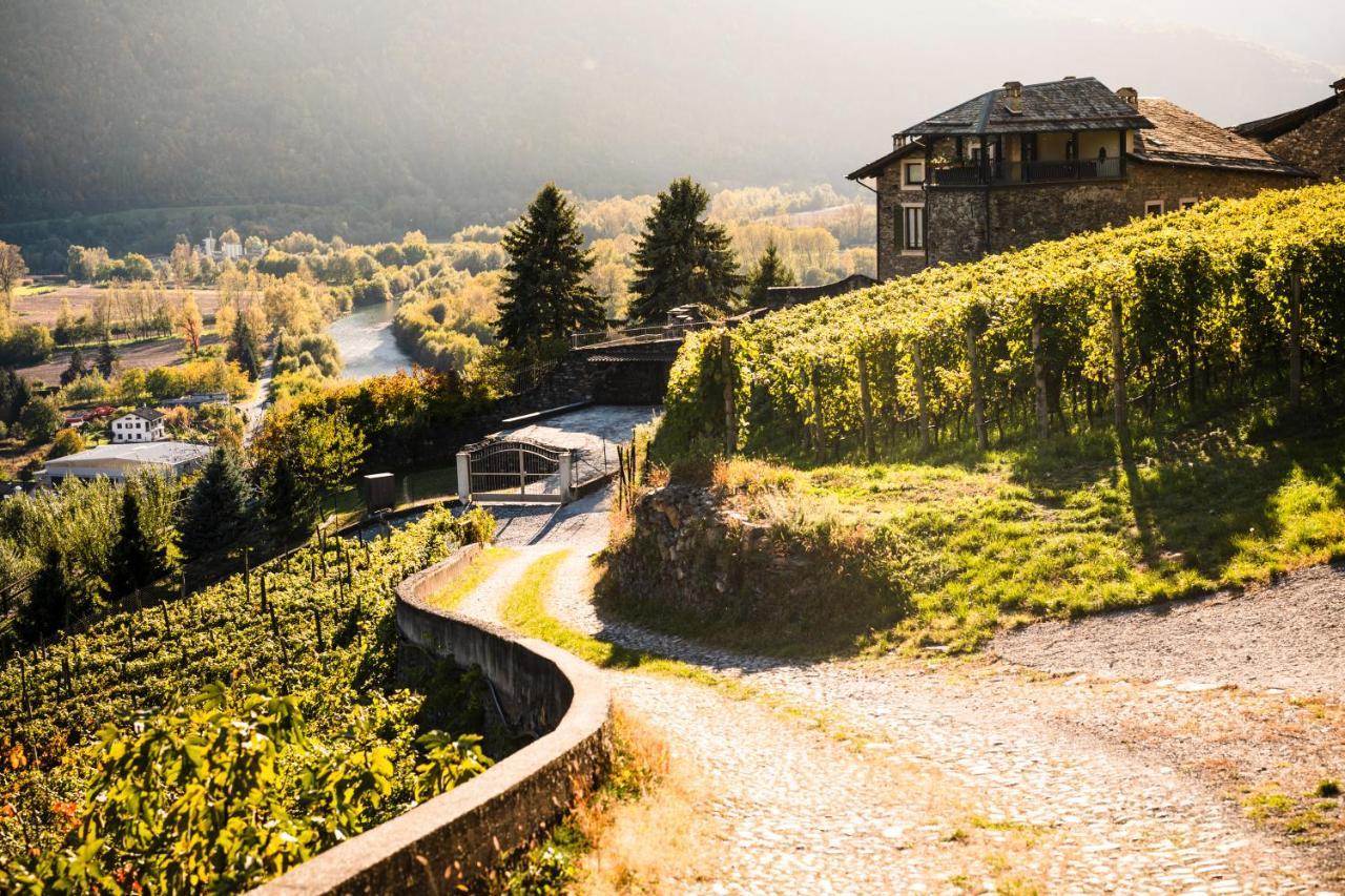 Villa Del Lupo: Crown Of The Valtellina Tresenda Dış mekan fotoğraf