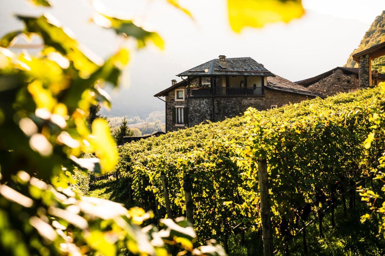 Villa Del Lupo: Crown Of The Valtellina Tresenda Dış mekan fotoğraf