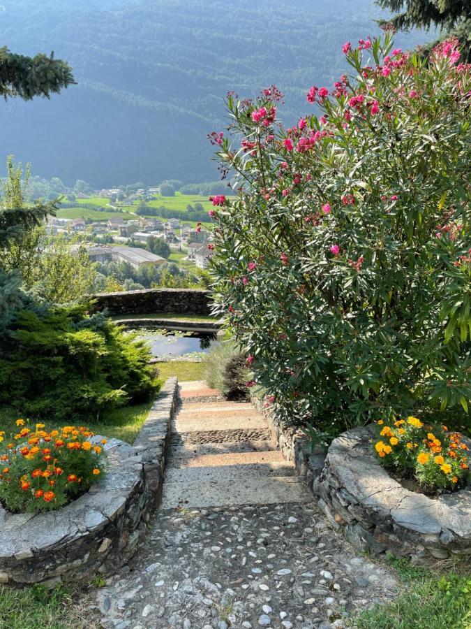 Villa Del Lupo: Crown Of The Valtellina Tresenda Dış mekan fotoğraf